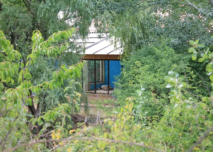 Complejo Moli De L'hereu Рафалес