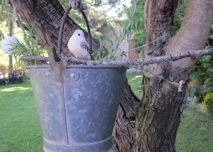 Hotell Complejo Moli De L'hereu